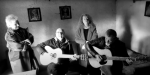 Picture of Czerwony Tulipan